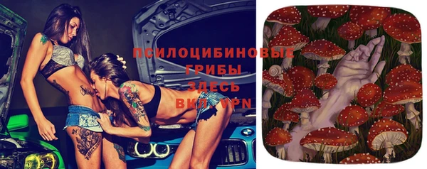 стафф Куйбышев